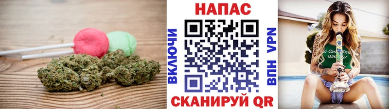 Canna-Cookies марихуана  Осташков 